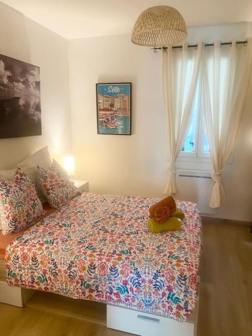 Appartement Neuf Cosy Centre Ville Quartier Haut Сет Экстерьер фото